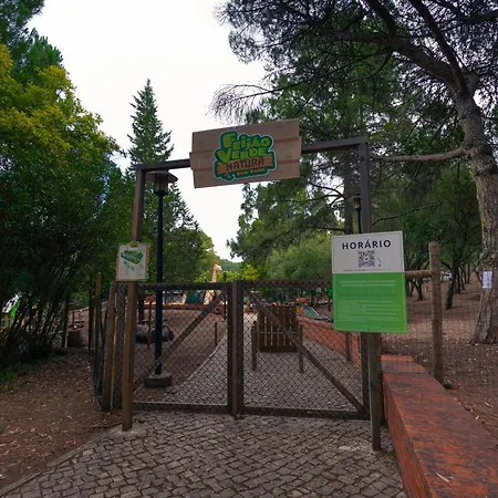 Kampaoh Lisboa