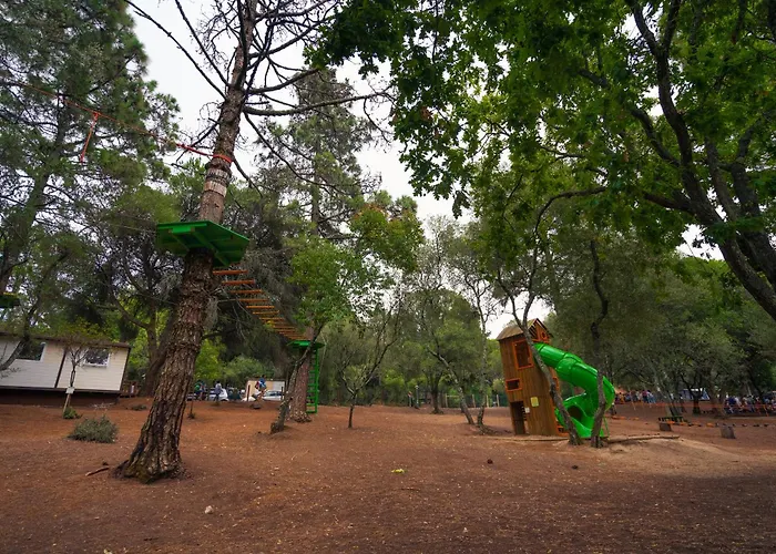 Kampaoh Лиссабон